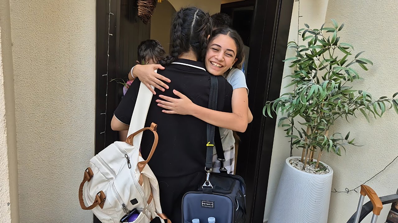 My sister traveled to stay with us for the summer in Dubai with her Cat