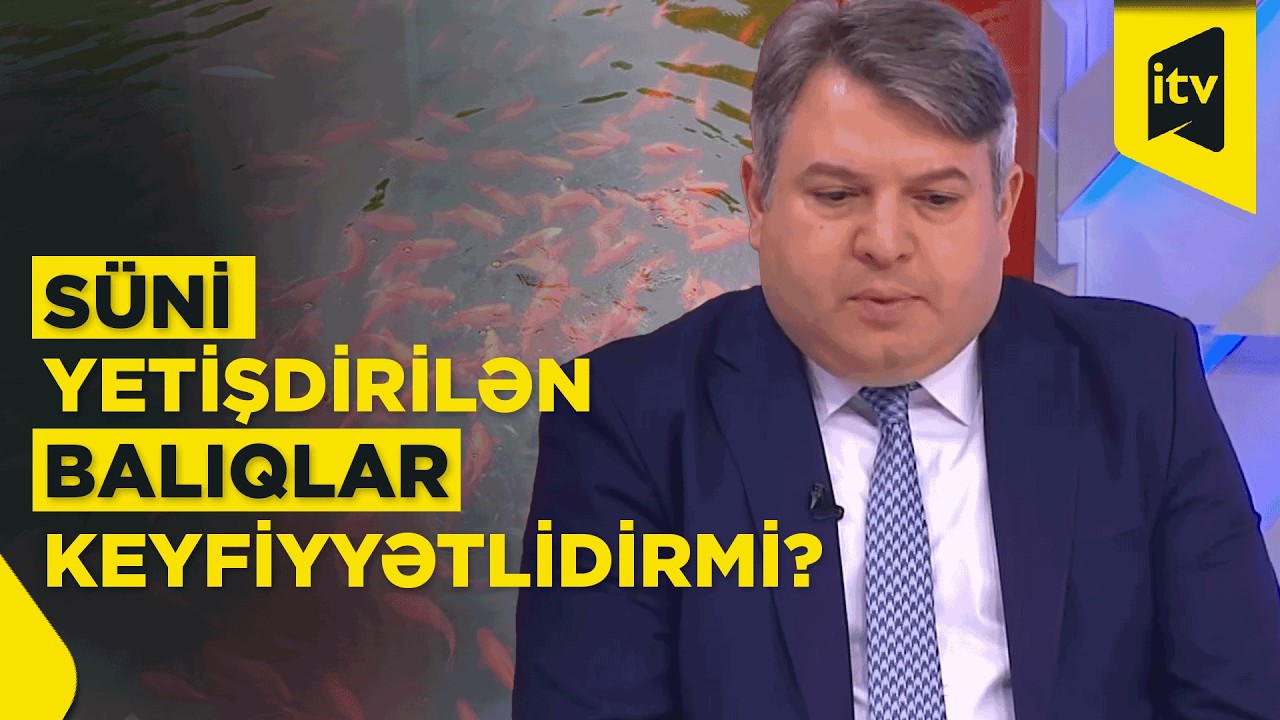 Qida eksperti İsa Əliyev: “Standartlara uyğun yetişdirilmiş ferma balığının zərəri yoxdur”