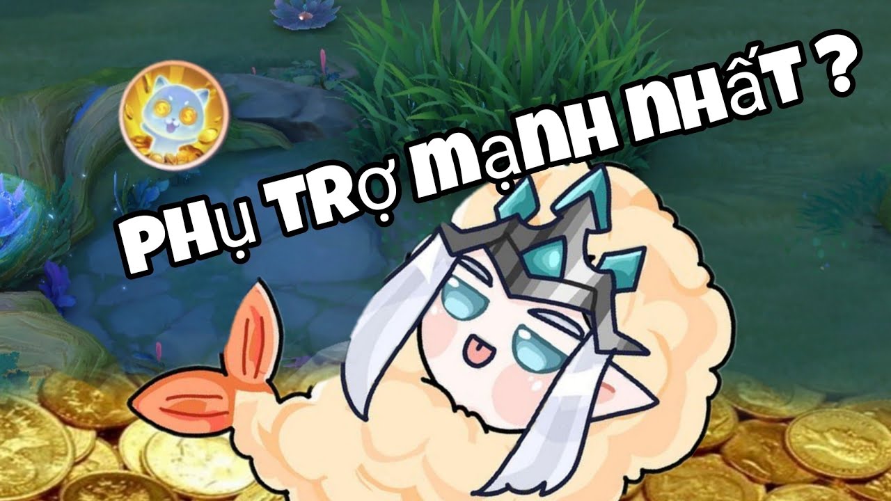 Tại Sao Bạn Nên Mang Phụ Trợ Này ?