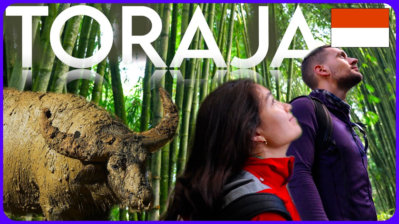 SUŁAWESI | Rantepao Tana Toraja | Indonezja podr&oacute;żnicza VLOG 4