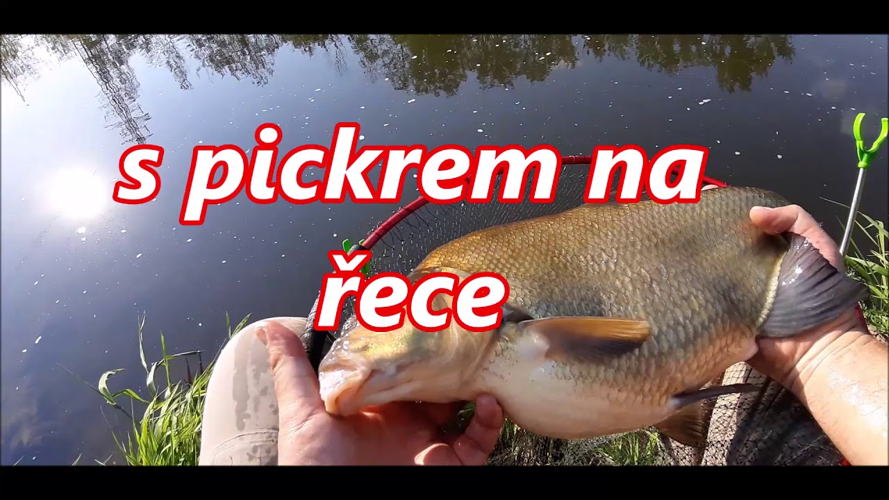 🔴RYBAŘENÍ - LOV NA ŘECE S PICKREM
