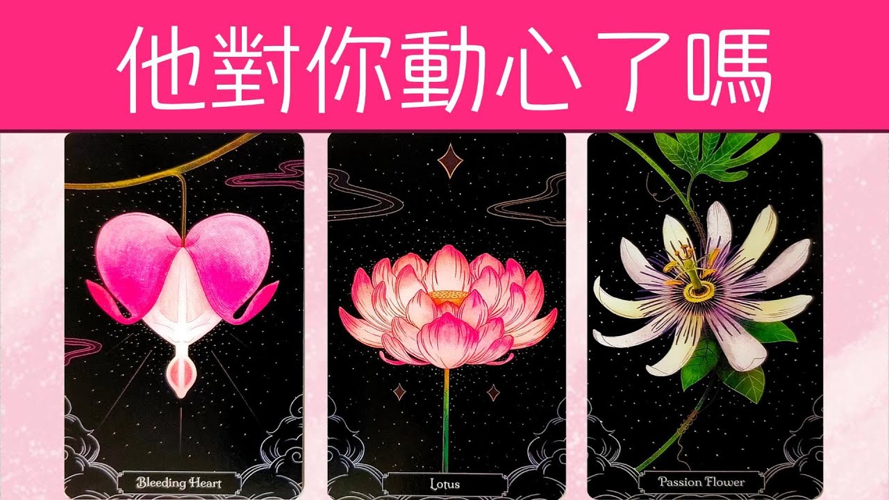 他對你動心了嗎？心動喜歡程度？你什麼特質讓他痴迷？|曖昧|暗戀|戀愛|桃花|塔羅占卜|