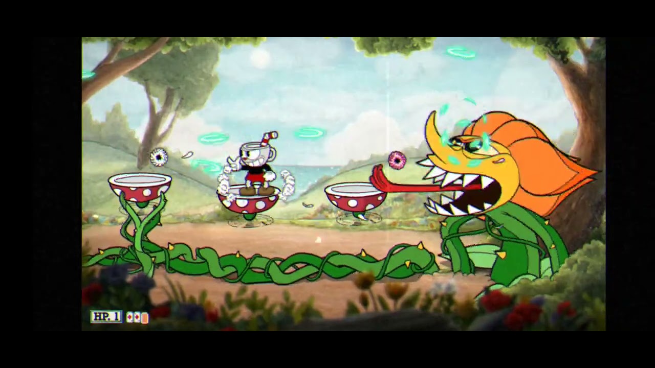 stoobid_flower.mp4