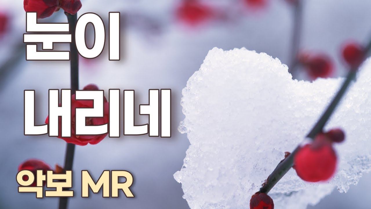 눈이 내리네(김추자Em) -  K-pop 악보. 가사. 노래연습. 계이름(계명)악보. 노래연습 song, sheet music. MR.색소폰악보. Alto Saxophone