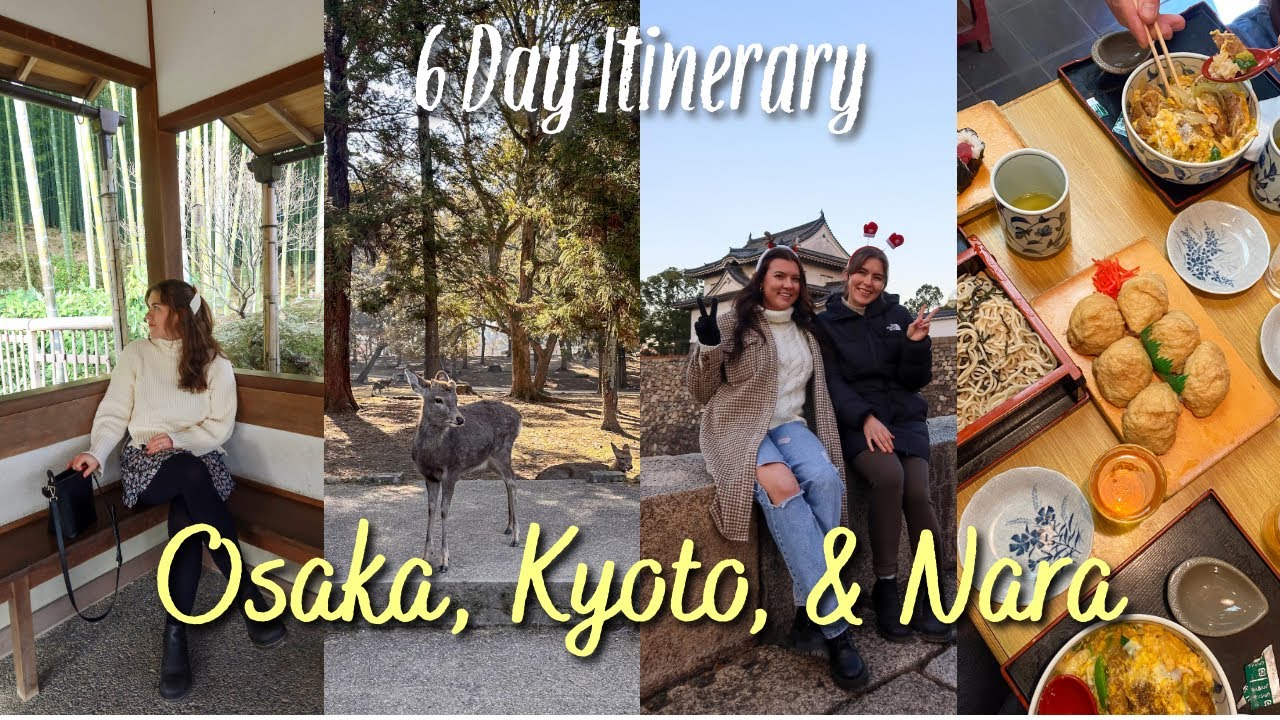 Japan Travel Vlog | Osaka🐙, Kyoto🍵, & Nara🦌 ~ Itinerary & Hidden Gems! +Traveling with 7 People