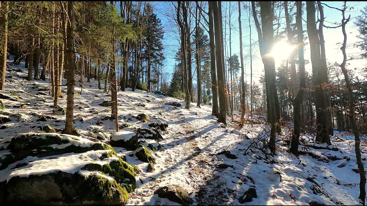 Winterwanderung ❄️ BAYERISCHER WALD - Wandern am Dreitannenriegel - Hausberg von Deggendorf