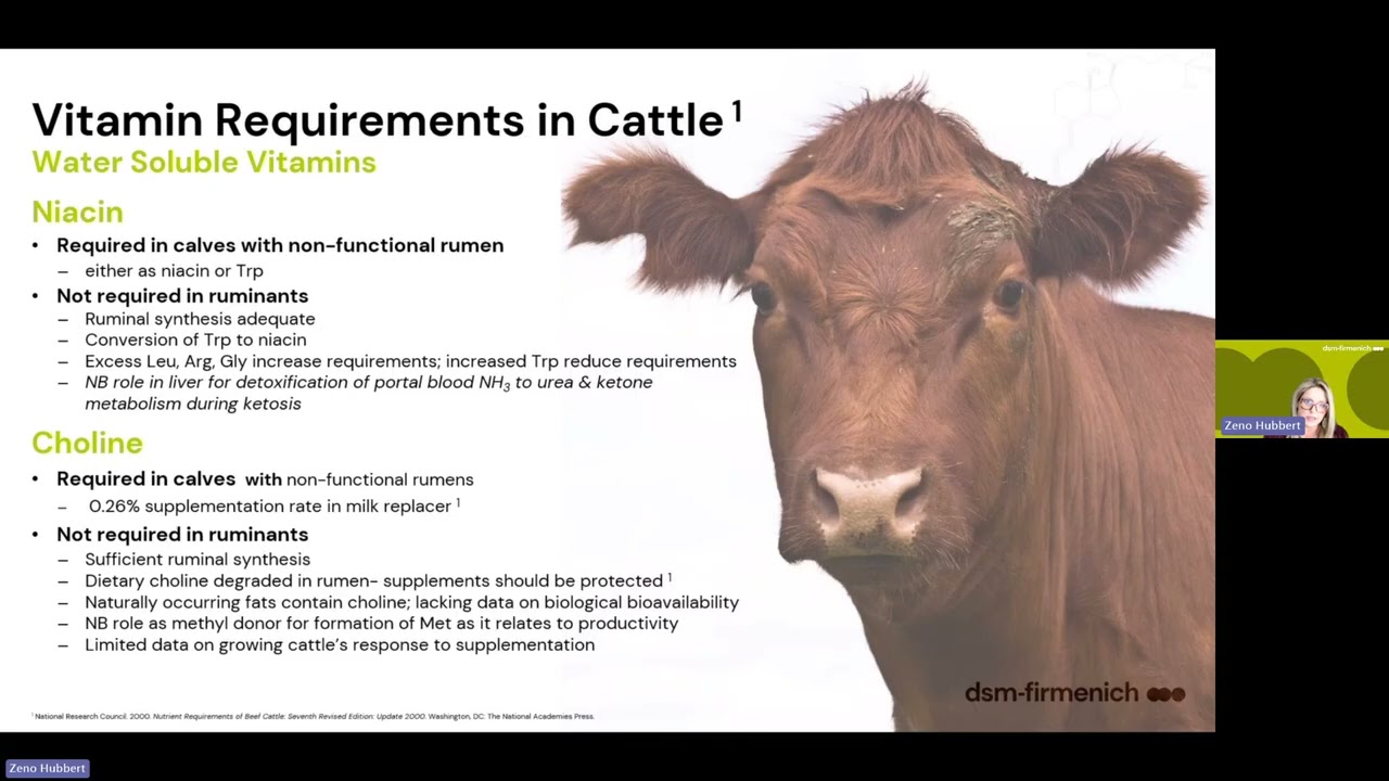 Webinar: Cattle Call for Quality - Navigating Vitamin Forms in Feed