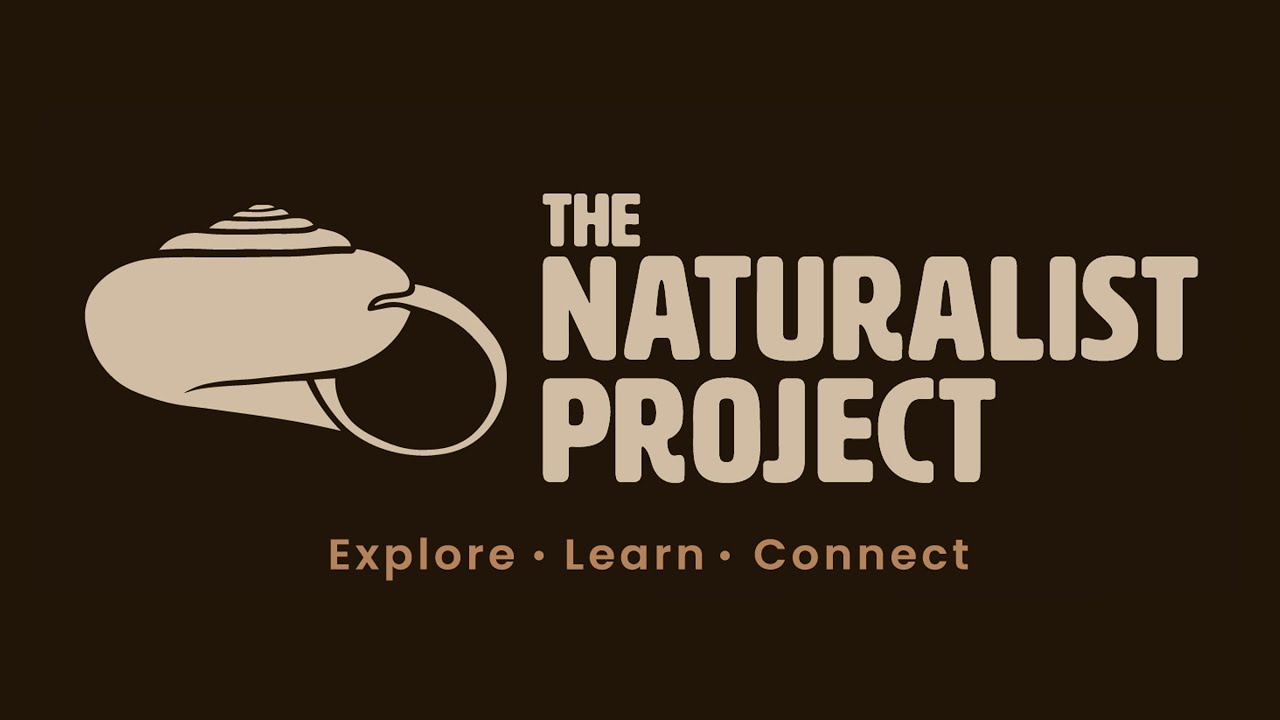 The Naturalist Project: Our vision moving forward