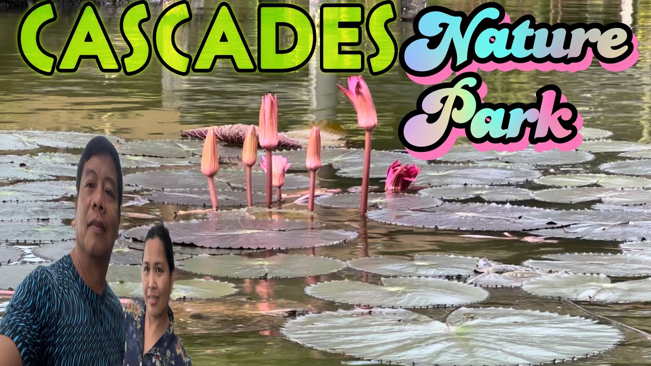 CASCADES NATURE PARK || COMPOSTELA CEBU PHILIPPINES 🇵🇭