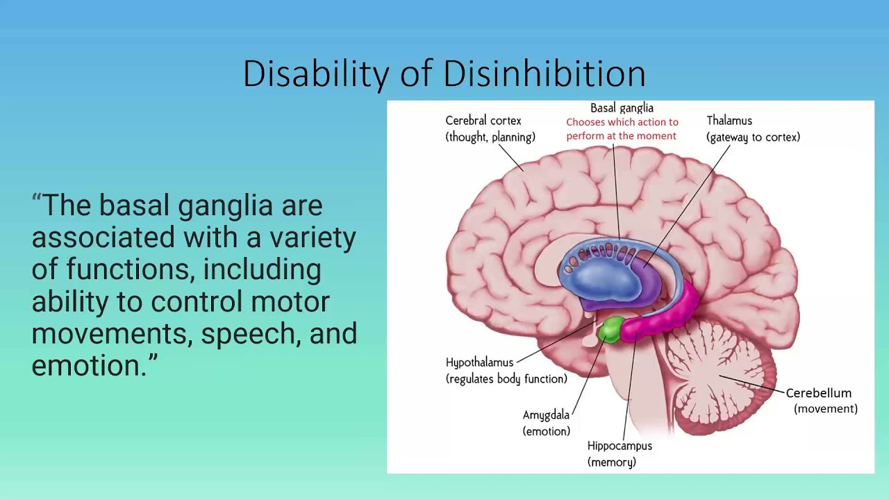 Behaviors and Effective Management Strategies for Children with Tourette Syndrome