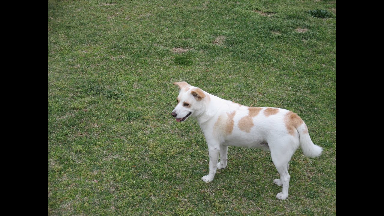 Yes, I have to cut my own lawn also....the 