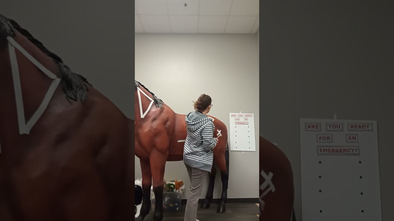 horse IM into glutes or semis
