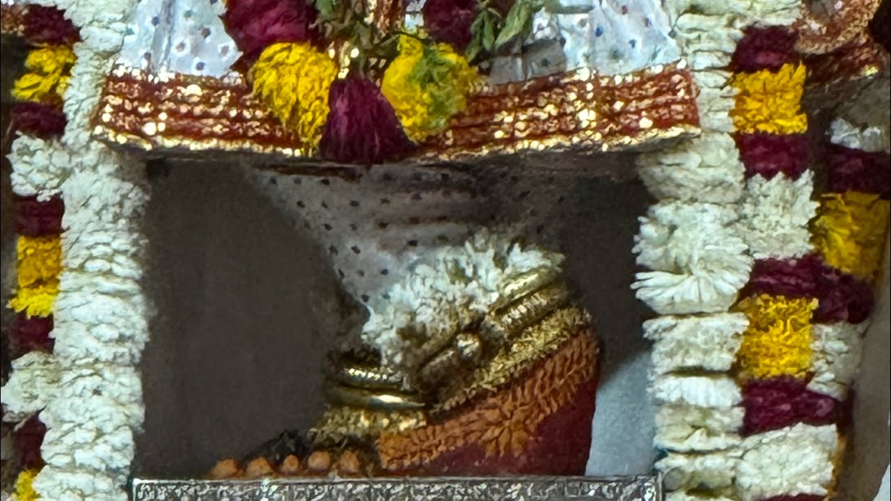 श्री गोविन्द देव जी मंदिर आरती कीर्तन सत्संग Shri Govind Dev Ji Temple #01_february_2026 #sunday 