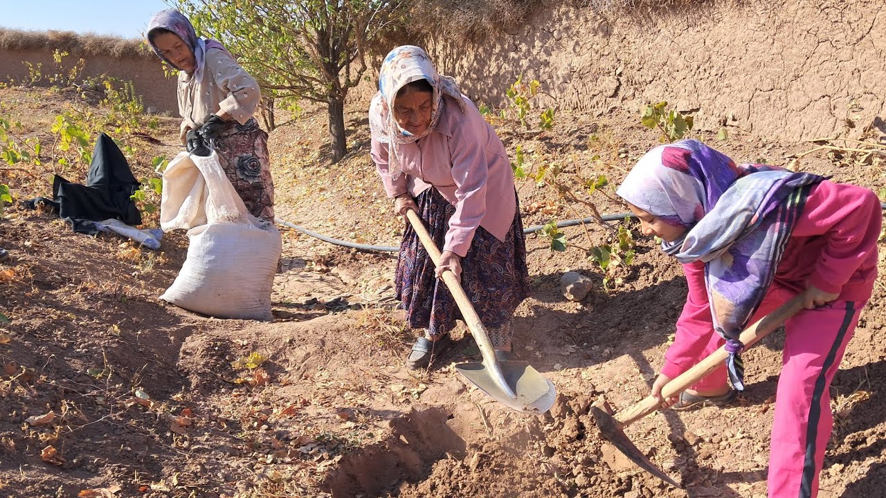 Natural Garden Preparation 🌿 | Using Cow Manure in Village Life