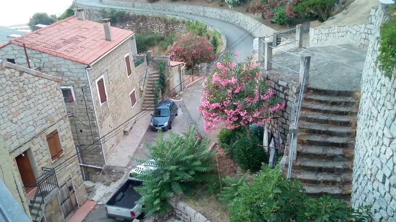 Olmeto corse