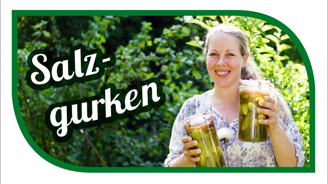 Salzgurken selber einlegen 🥒 Gurken Fermentieren 🥒 Original Rezept vom Gärtner 🥒 Gurken einmachen