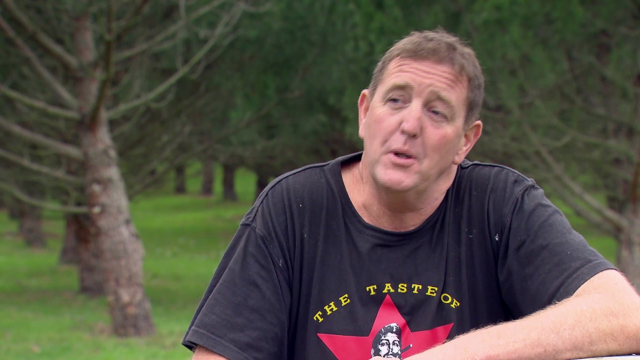 Producing Pine Nuts in Marlborough