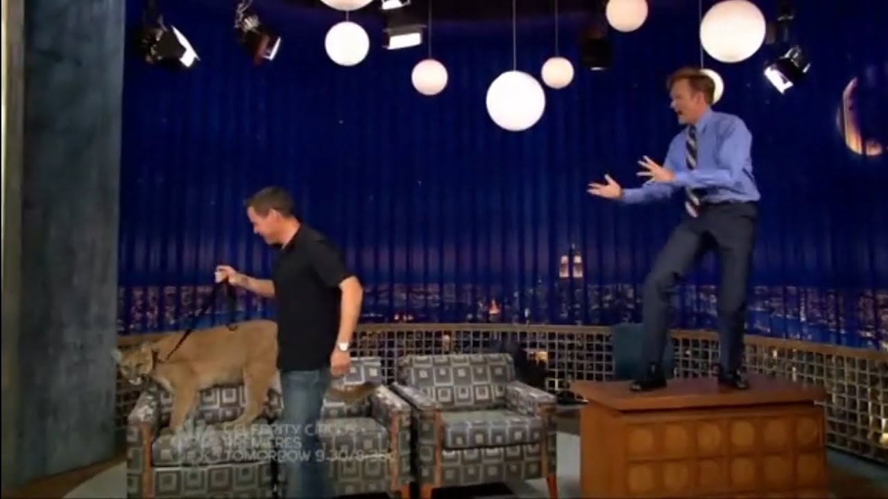 Jeff Corwin & His Animal Friends - 6/10/08