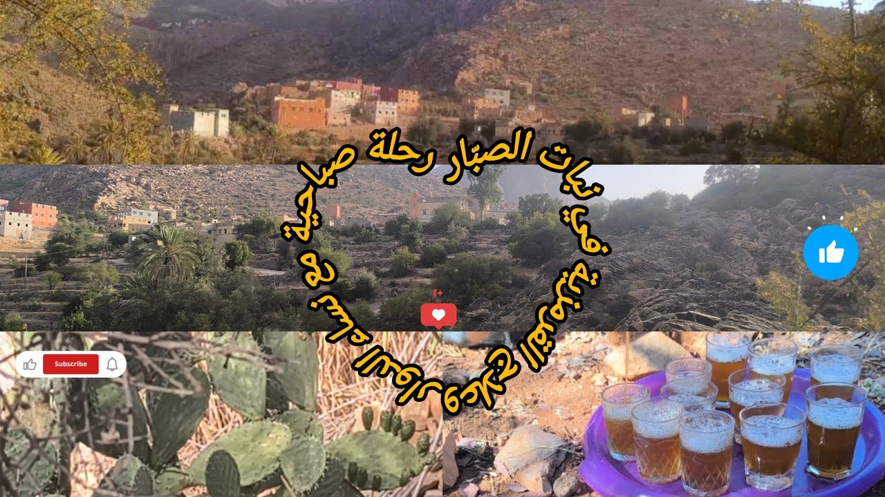رحلة صباحية مع نساء الدوار وعلاج القرمزية في نبات الصبّار🌵🌄🇲🇦 اكسبلور# ادرارينو💐♥️