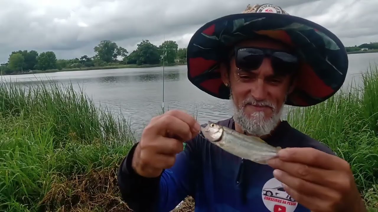 Pescaria Raiz com vara de bambu com chuva quase abandonei a Pescaria