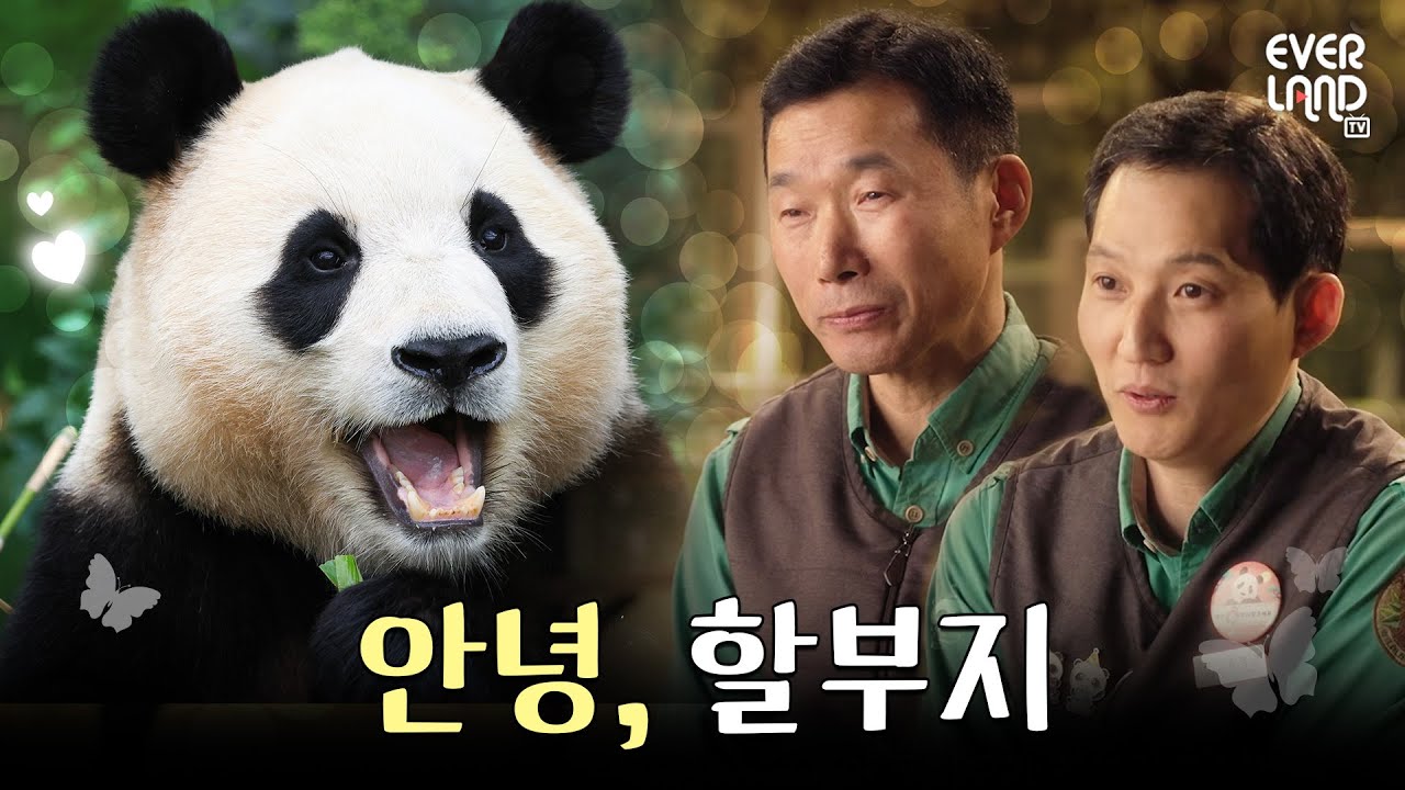 출연 배우가 직접 풀어주는 