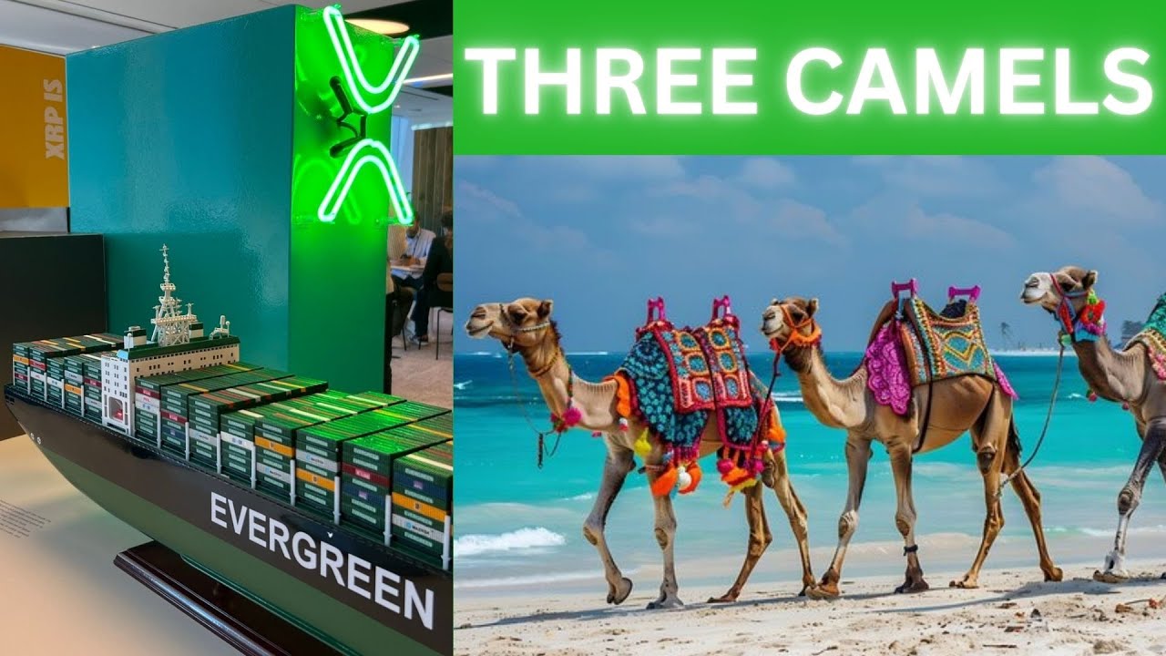 Evergreen  —  3 Camels 3 Canals 3 pricepoints  — Dreams Fulfilled