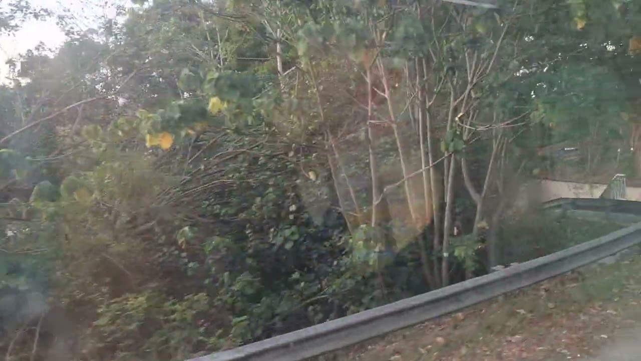 TS681 NR92錦綉荃灣迴旋處往元朗九龍快速公路