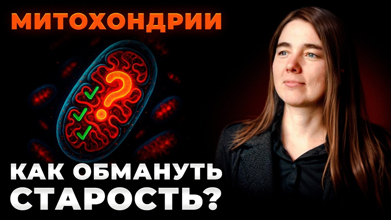 Нет сил и энергии? Чувствуешь усталость? МИТОХОНДРИИ - причина!