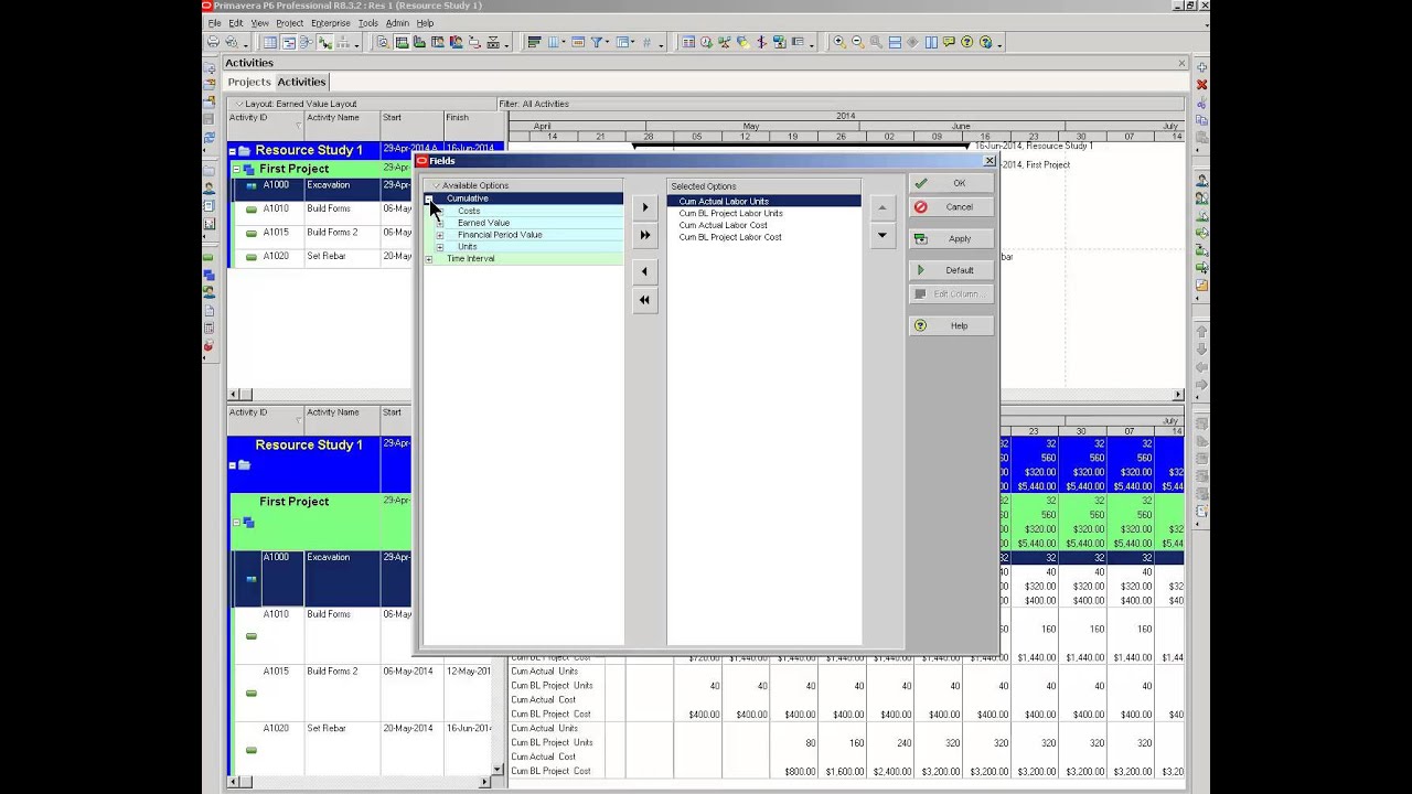 Primavera P6 Earned value, variances, project cost comparison chart.
