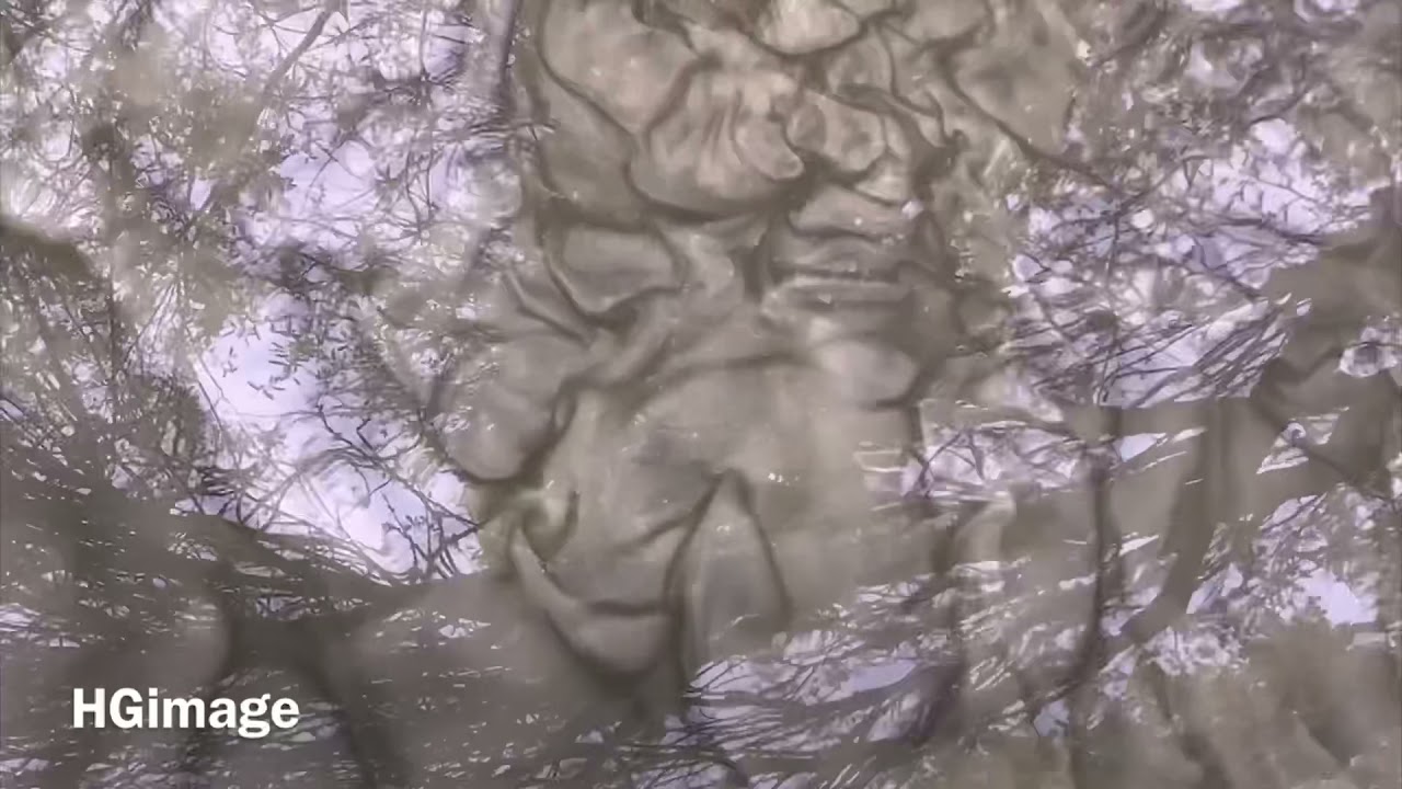 Ultar Glacier Water | Hunza | Gilgit Baltistan | Climate Change