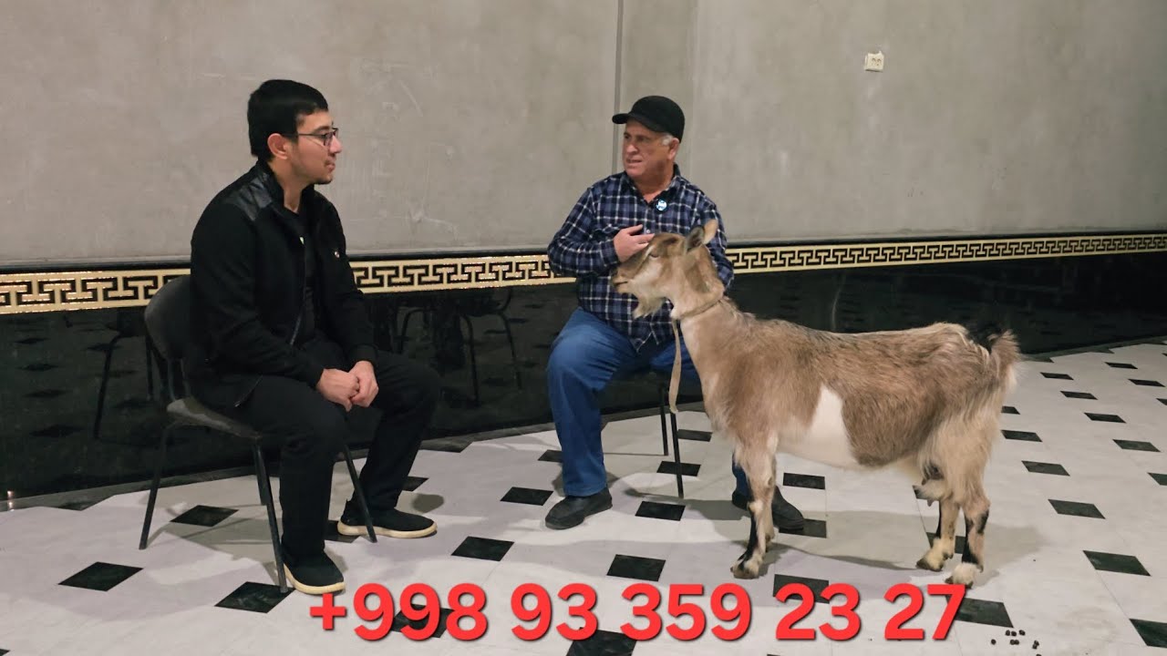 ECHKI SOTILADI SAMARQAND 