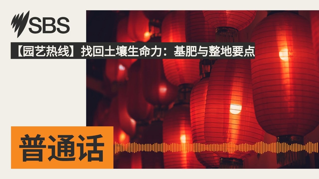 【园艺热线】找回土壤生命力：基肥与整地要点 | SBS Mandarin - SBS 普通话电台