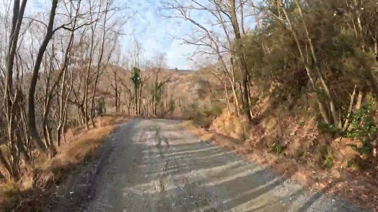 PRATI POLZEMOLA SAN MARTINO_01022026