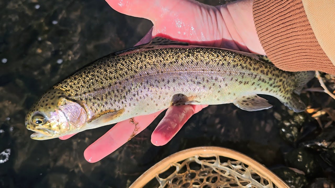 Last Day Of Fishing In 2025