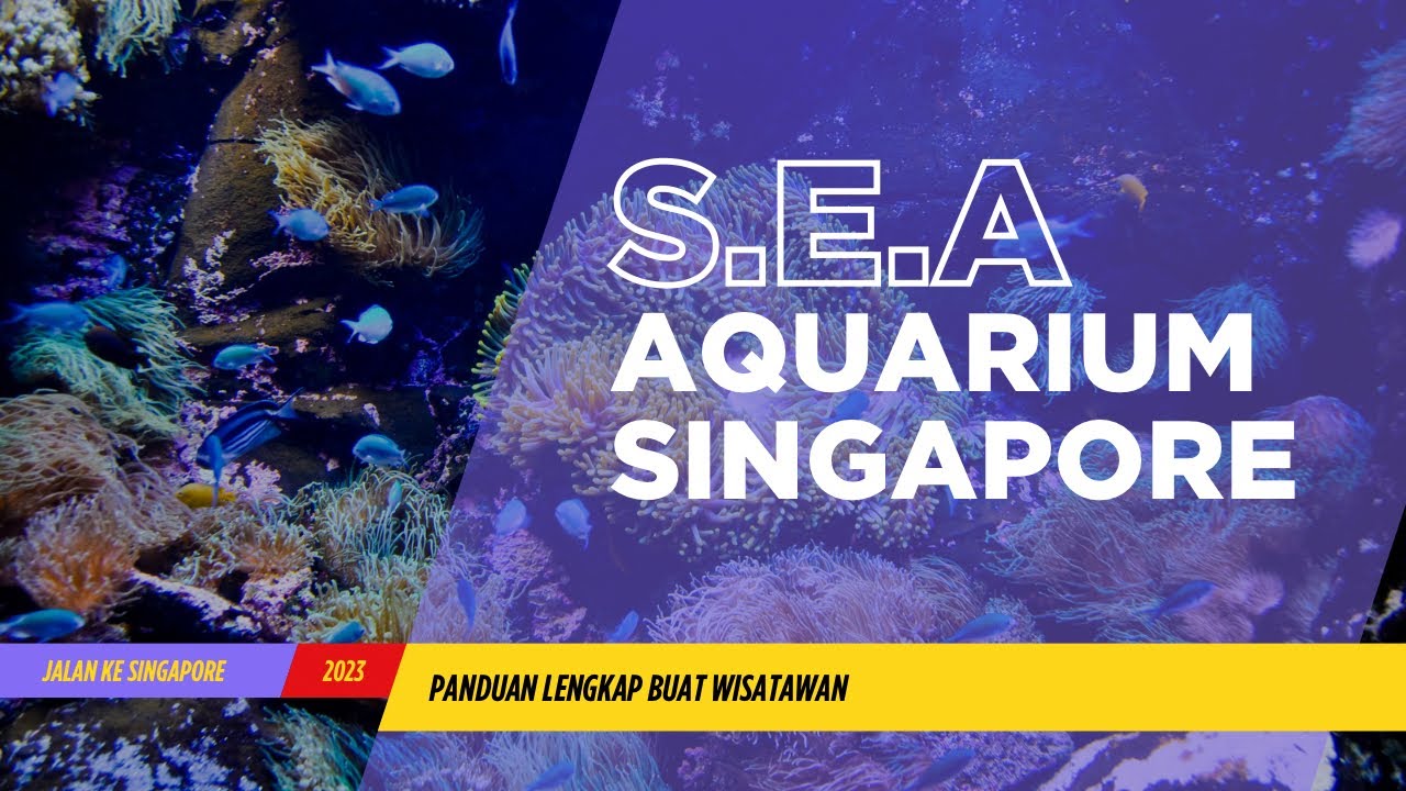S.E.A Aquarium Singapore. Salah Satu Aquarium terbesar di Dunia