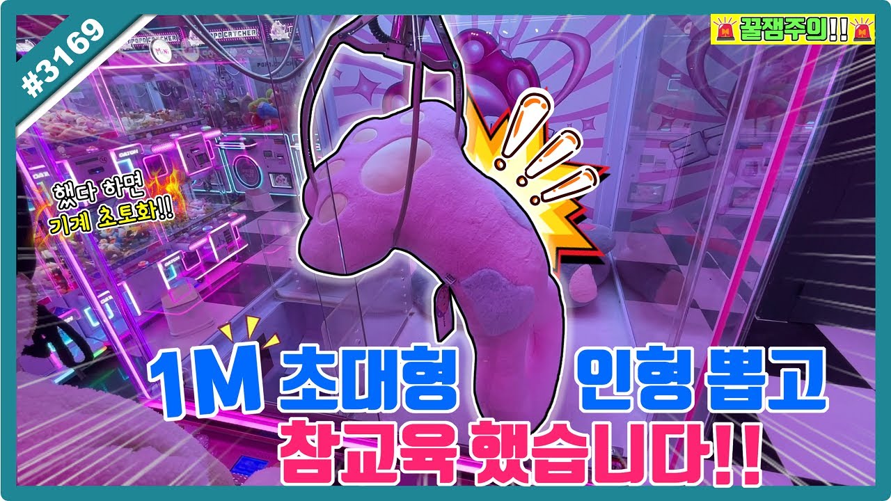 진짜 집게로 이게 뽑힌다고!? 1M 초대형 인형 뽑고 참교육 완료!! (고니두욘몬 20260131) #3169