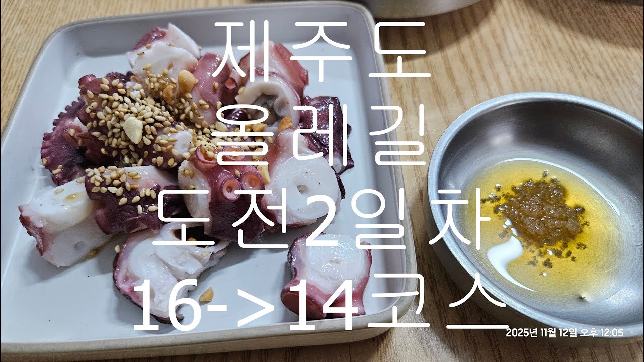 제주도 올레길 2일차 16코스 - 14코스 ,애월 오누이, 협재칼국수, 바언제주