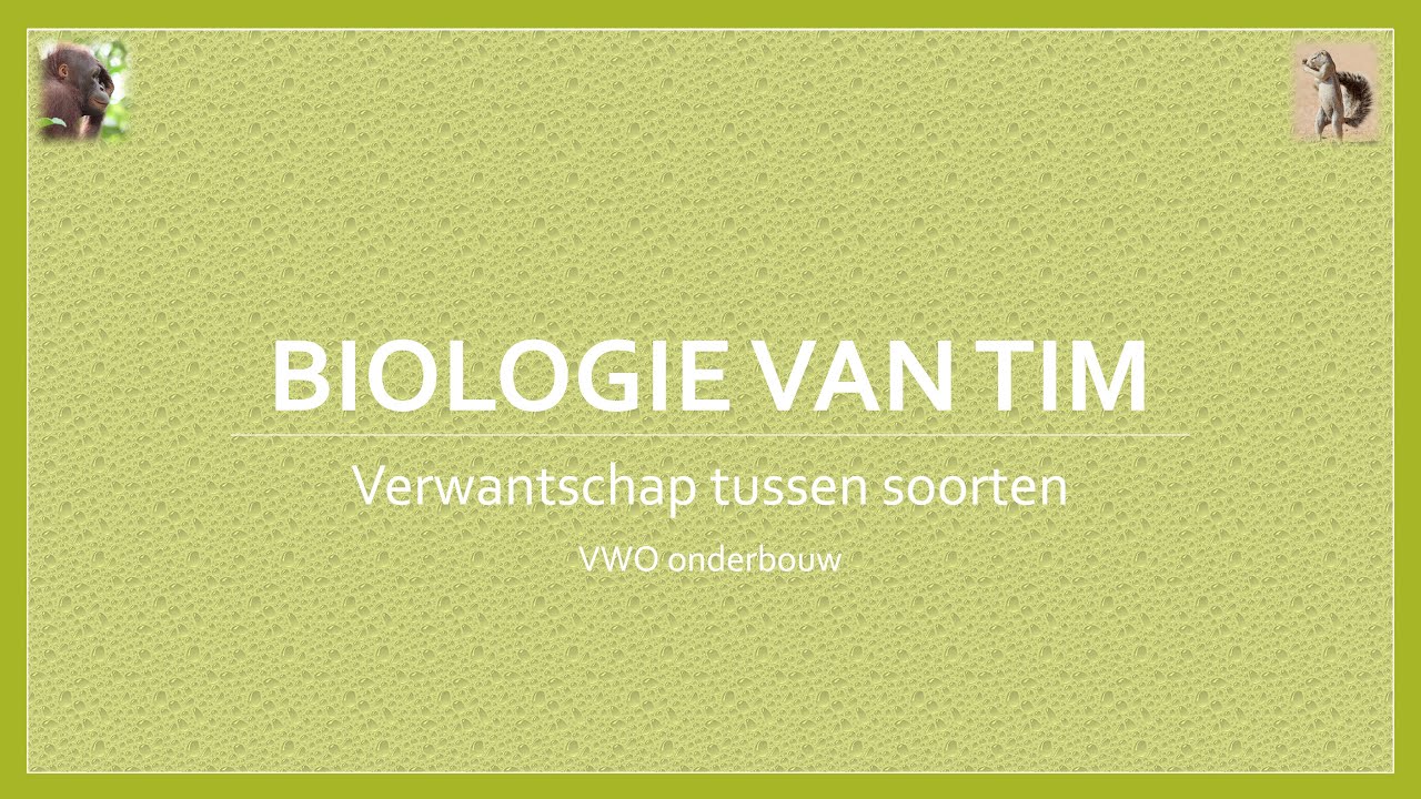 Biologie van Tim - Verwantschap tussen soorten (onderbouw)