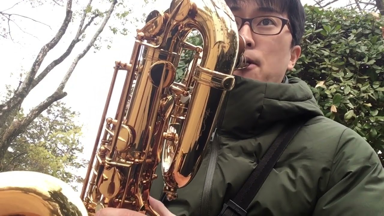 It Could Happen To You (Pepper Adams)