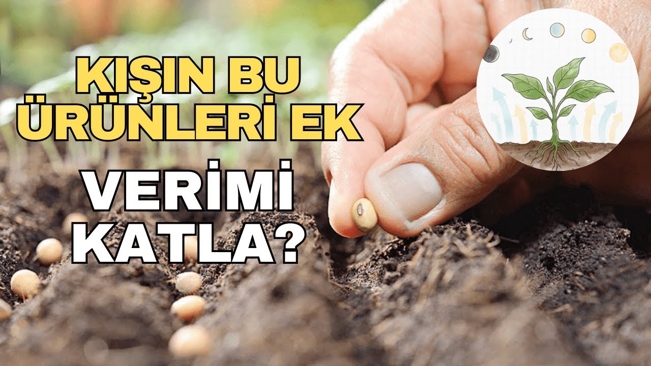 AY TAKVİMİNE GÖRE EK VERİMİNİ KATLA!