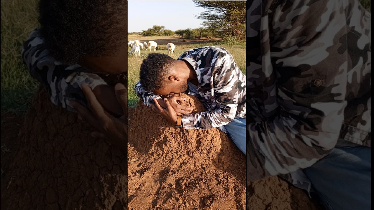 Noloshii Hore ee miyiga oo aan mudo ku soo qaatay iyo wixi aan kala soo kulmay dawsho wcn