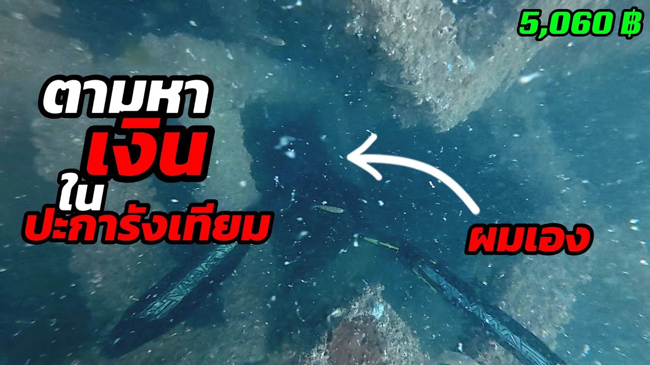 ดำน้ำยิงปลา l ตอน ตามหาเงินในปะการังเทียม
