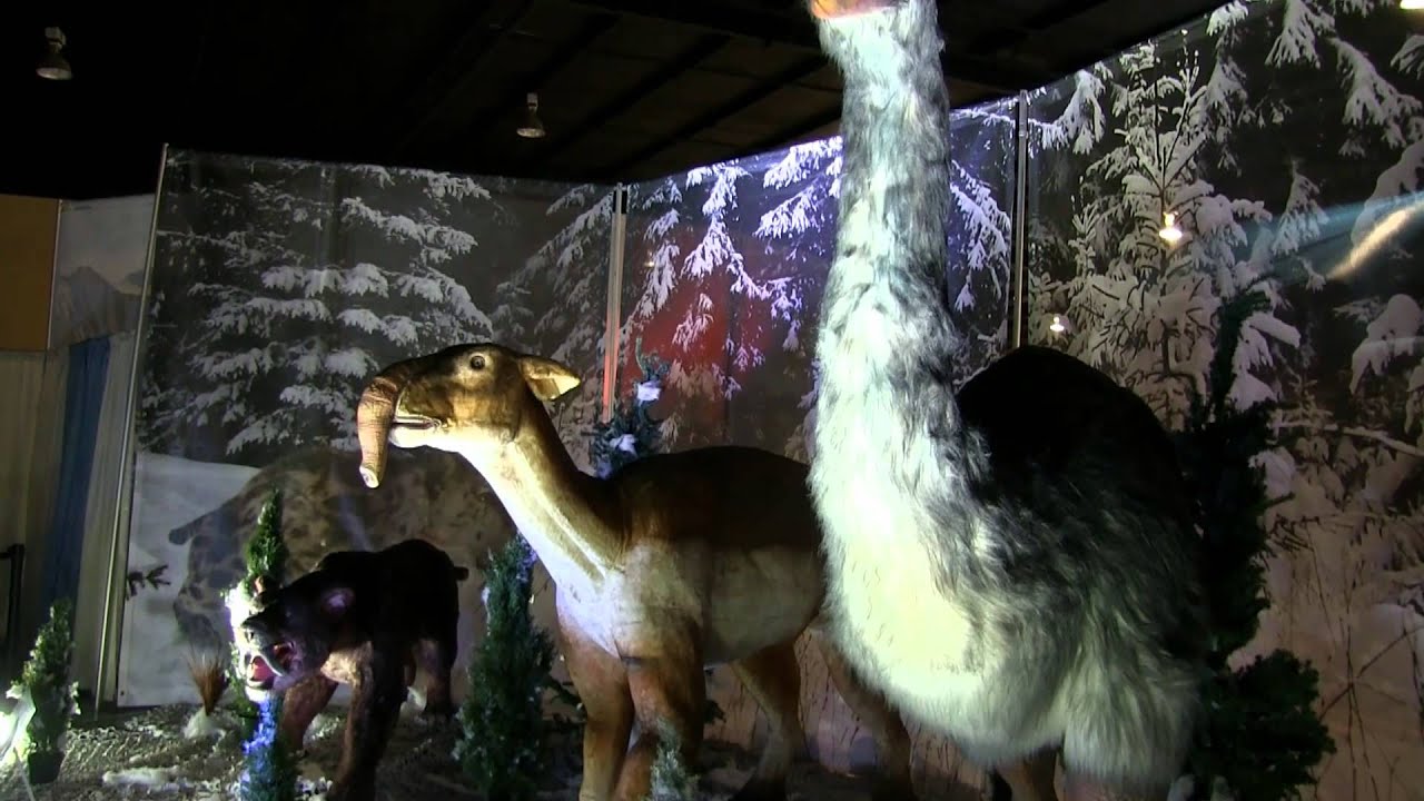 J.J. at Discover the Ice Age