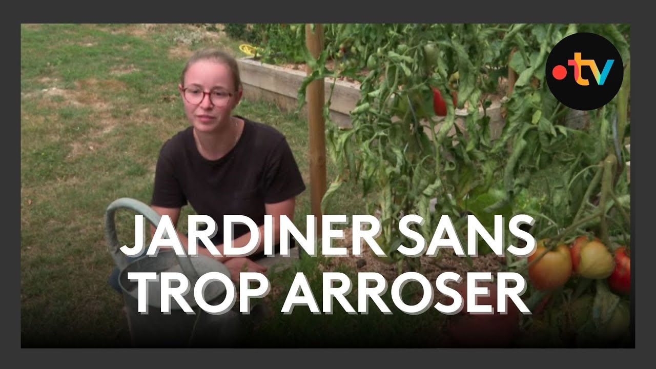 Jardiner sans trop arroser : les secrets des oyas en terre cuite