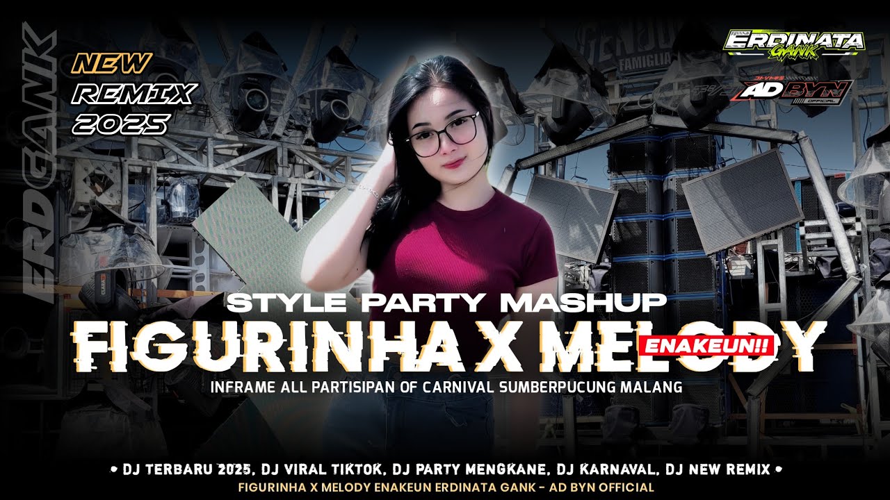 DJ FIGURINHA PARTY MASHUP ERDINATA GANK | AD BYN OFFICIAL