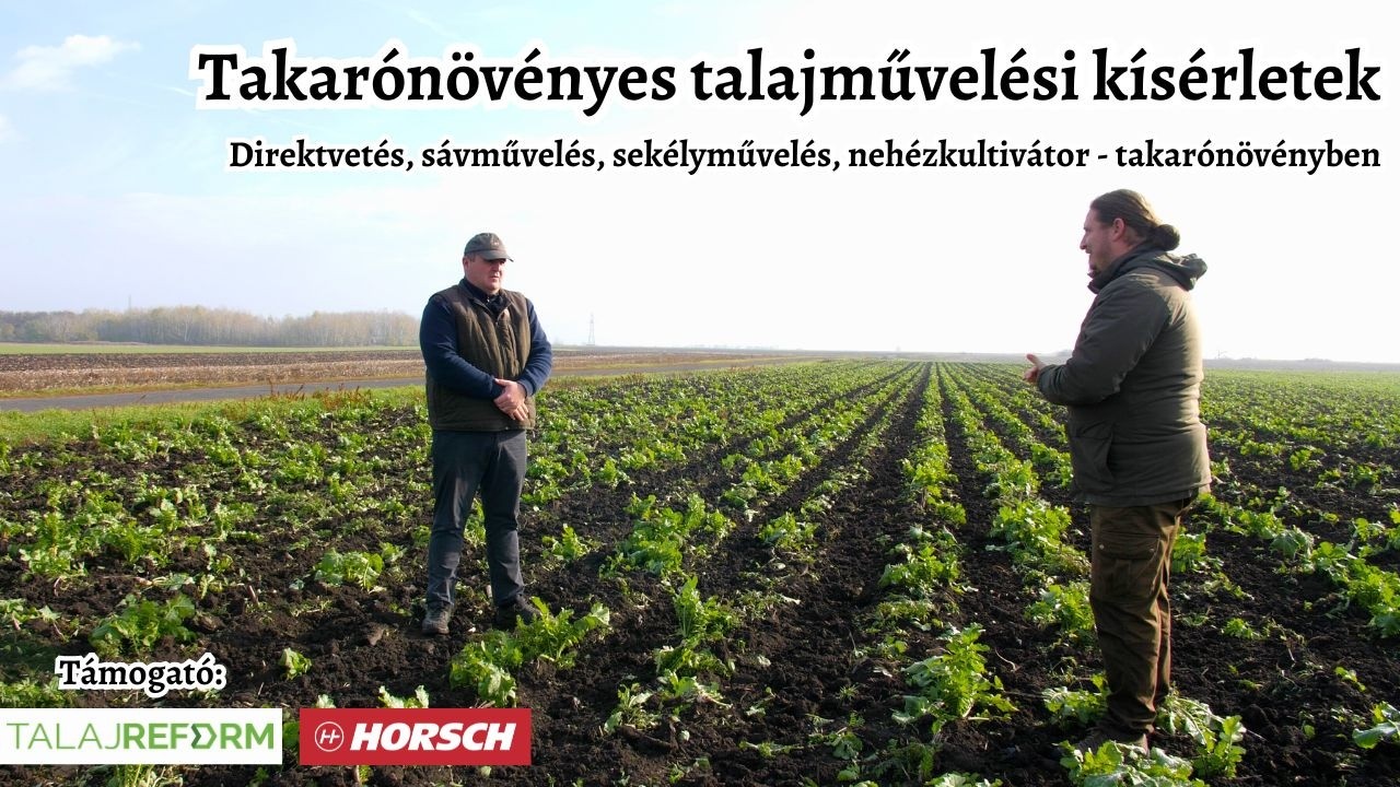 Talajművelési kísérletek takarónövényekben Zagyvarékason - Sávművelés, direktvetés, sekélyművelés