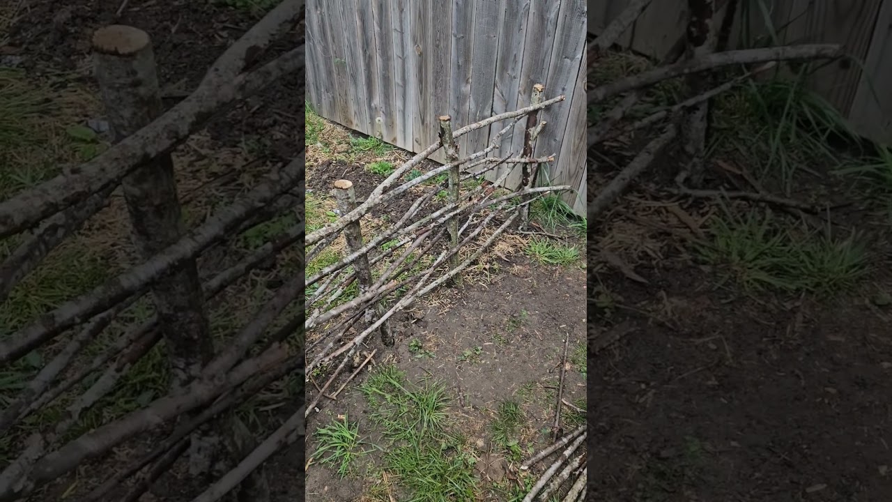 Budget Diy Garden Yard Stick Fence #garden #diy #fence #yard