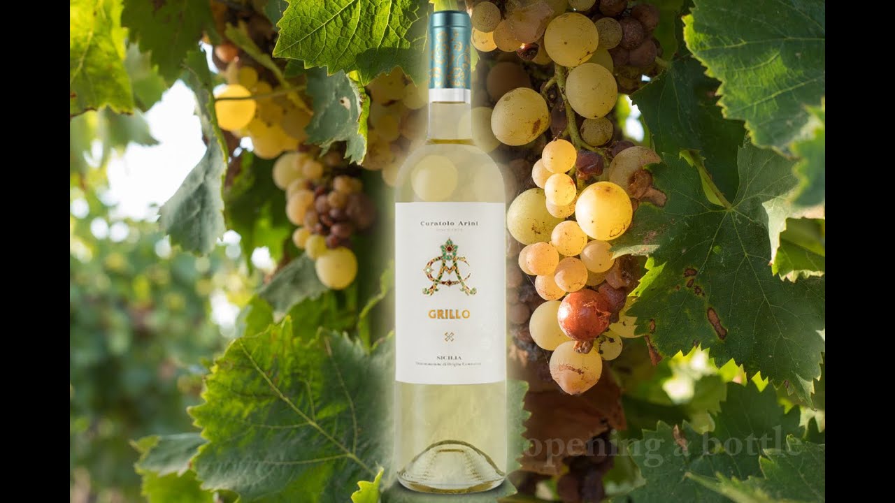 Time to Taste Wine - Another Grillo from Sicily - it's cheap, but is it good?