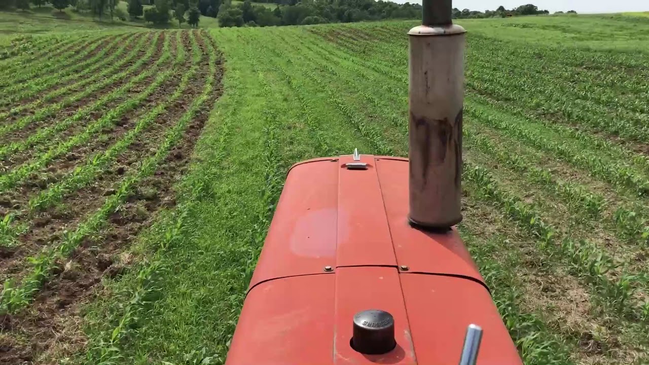 cultivating a corn field on a Wisconsin family farm