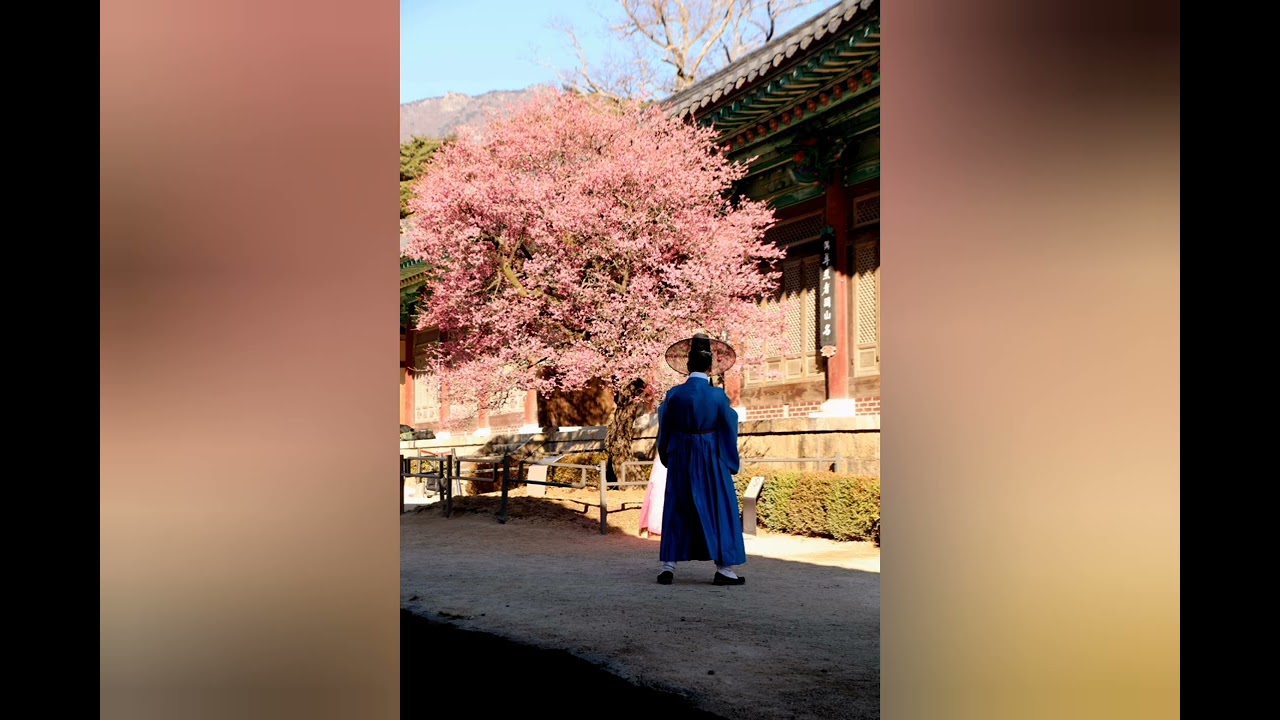 남이의 통도사매화관람